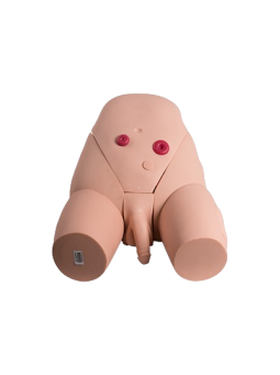CATHETERIZATION SIMULATOR MALE